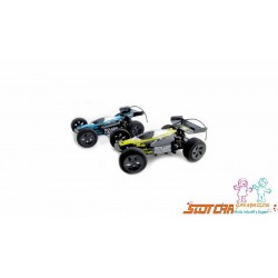 COCHE PARK RACERS R/C