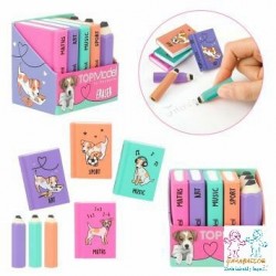 TOPMODEL SET GOMA DE BORRAR MINI LIBROS