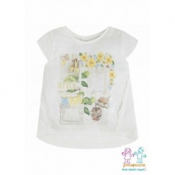CAMISETA M/C COMPOSICION