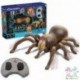 TARANTULA R/C DISCOVERY