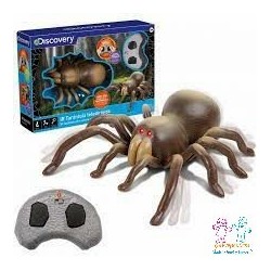 TARANTULA R/C DISCOVERY