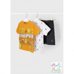 Conj. punto 2 camisetas skate