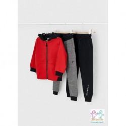 Chandal felpa 2p basico